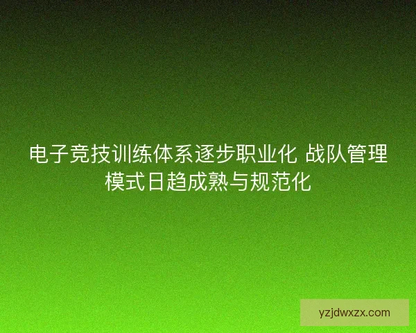 电子竞技训练体系逐步职业化 战队管理模式日趋成熟与规范化