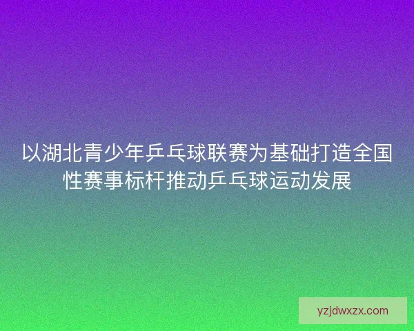 以湖北青少年乒乓球联赛为基础打造全国性赛事标杆推动乒乓球运动发展